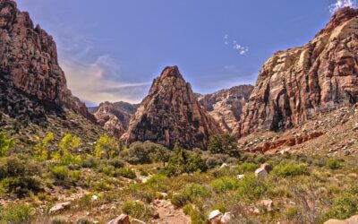 Nevada Lithium Updates 2023 Exploration Program Progress at 100% Owned Bonnie Claire Lithium Project, Nevada, USA