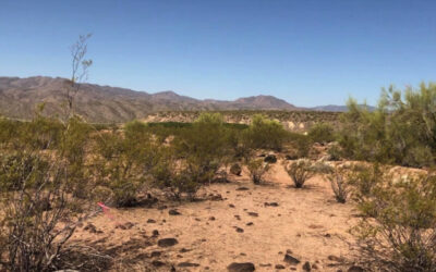 ExxonMobil’s lithium chief confident company will be major producer