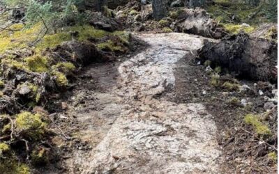 ACME Lithium and Snow Lake Initiate Exploration Program at Shatford Lake Manitoba Lithium Project