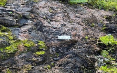 ACME Lithium and Snow Lake Complete Successful Field Exploration Season on the Shatford Lake Lithium Project, Manitoba